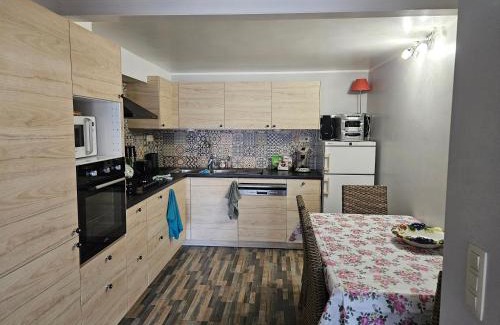 Neder-Over-Heembeek Apartment | Balsamine