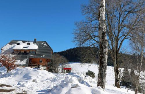 Titisee-Neustadt Apartment | Balzenhof