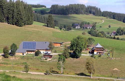 Titisee-Neustadt Apartment | Balzenhof
