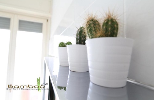 San Vittore Apartment | Bamboo Milano Papiniano Loft