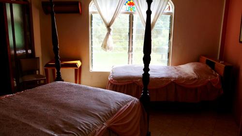 Armenia Cabin | Banana Bank Lodge & Jungle Horseback Adventures