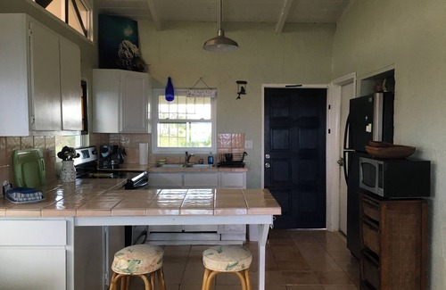 Frederiksted Southeast Apartment | Bananaquit House