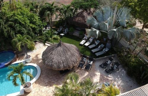 Malmok Apartment | Bananas Apartments Adults Only