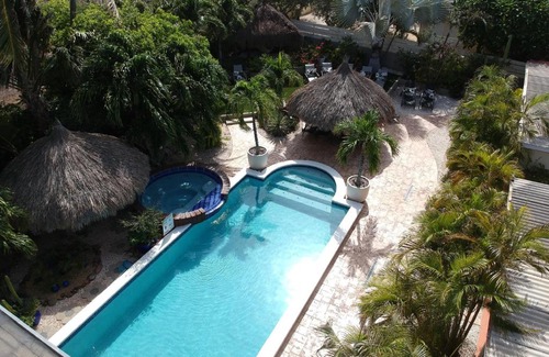 Malmok Apartment | Bananas Apartments Adults Only