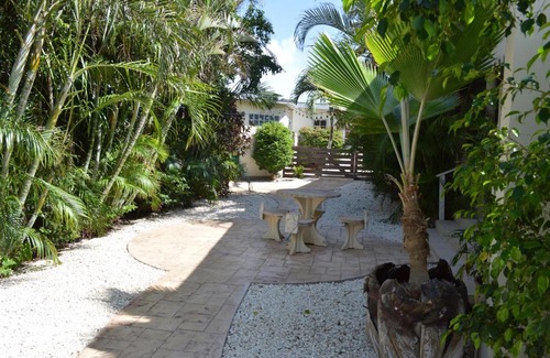 Malmok Apartment | Bananas Apartments Adults Only