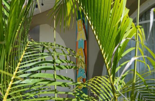 Malmok Apartment | Bananas Apartments Adults Only