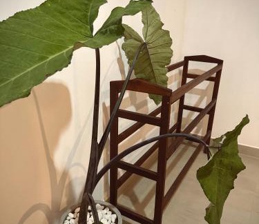 Mirissa Bed & Breakfast | Bananas Palm Villa