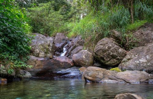 Vellamunda Resort | Banasura Jungle Resort by Z Vacations