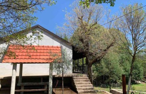 Pricelje Apartment | Bandici house