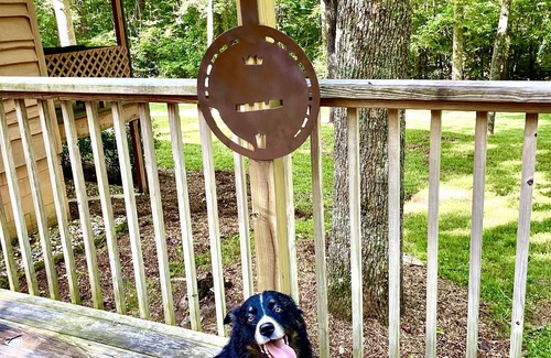 Moravian Falls Cabin | Banjo’s Cabin