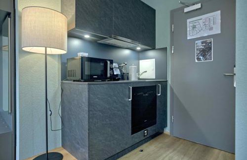Central Interlaken Apartment | BANK House Studio M 102 - GRIWA RENT