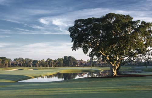 Land of the Presidents Hotel | Banyan Cay Resort & Golf