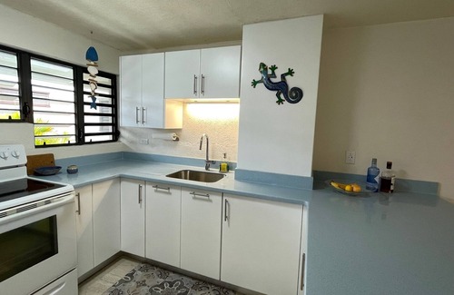 Garrison Historic Area Condo | Banyan Court, a Family-Friendly Condo Close to Everything!