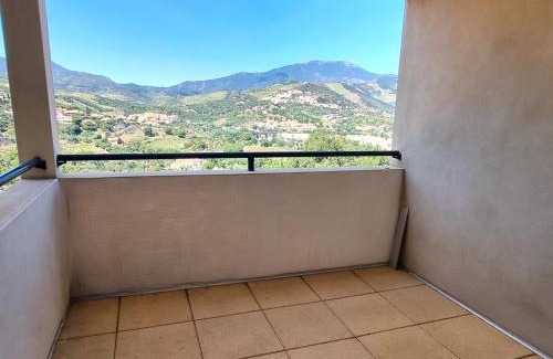 Banyuls-sur-Mer Apartment | BANYULS-SUR-MER : Magnifique T2 avec terrasse et garage - FR-1-309-476