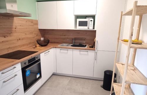 Banyuls-sur-Mer Apartment | BANYULS-SUR-MER : Magnifique T2 avec terrasse et garage - FR-1-309-476