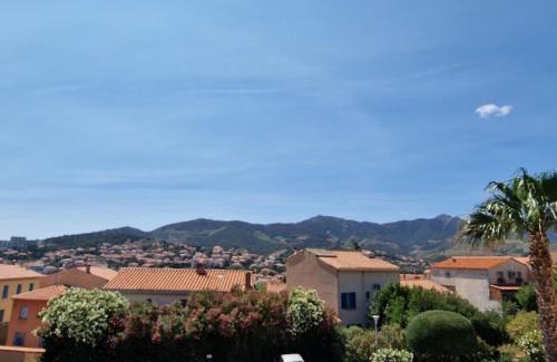 Banyuls-sur-Mer Apartment | Banyuls-sur-Mer: T2 avec terrasse couverte et parking privatif - FR-1-309-146