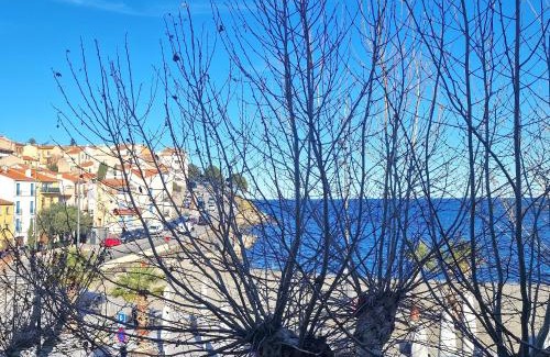 Banyuls-sur-Mer Apartment | BANYULS, T3 climatisé à 50m de la plage, en centre-ville - FR-1-309-9