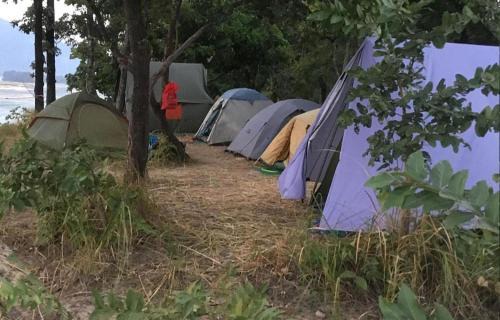 Bardia Other | Bardia Forest Camp