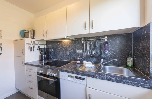 Friedrichskoog-Spitze House | Barnacle geese Kl. Steert - Holiday home Linneweber