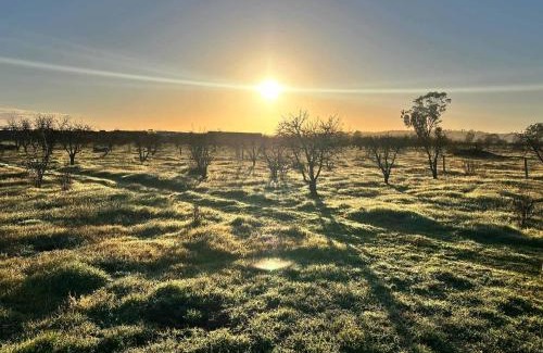 Stockwell House | Barossa Homestead Tiny Home