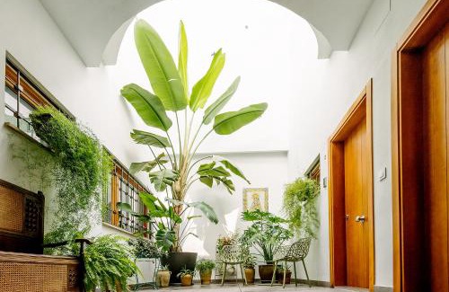 El Cabanyal Apartment | Barracart Apartments
