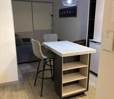 Downtown Santiago Apartment | Barrio República - Movistar Arena - Ingeniería