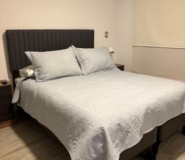 Downtown Santiago Apartment | Barrio República - Movistar Arena - Ingeniería