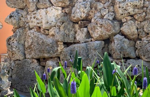 Putignano Bed & Breakfast | Barsentello
