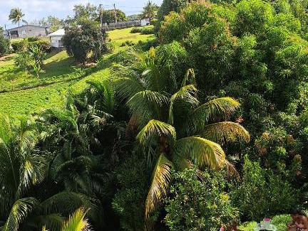 Riviere-Salee Apartment | Bas de Villa FloriRose