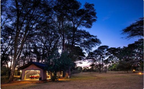 Talek Other | Basecamp Adventure