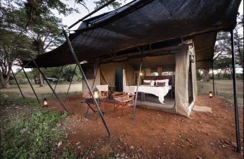 Talek Other | Basecamp Adventure