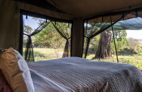 Talek Other | Basecamp Adventure