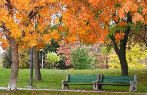 Saint-Bruno-de-Montarville Apartment | Basement 2-bedroom apartment near National Park and Montréal