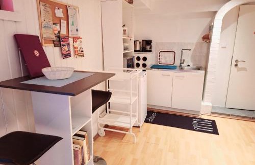 Eicken Apartment | Basement Room