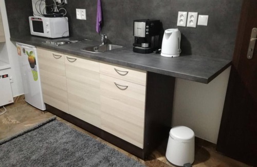 Old Town Apartment | Basement studio apartment 12