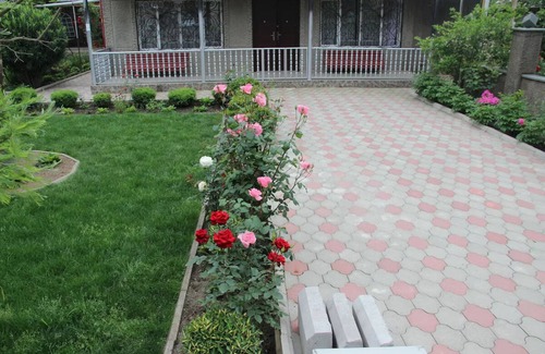 Kutaisi Apartment | Basic Roomn