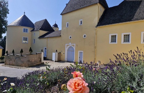Kreuzweiler Apartment | Basic twin room shower/WC - KLEIN - Thorn Castle