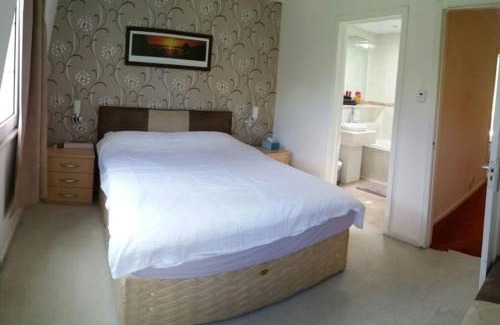 Basingstoke House | Basingstoke Townhouse