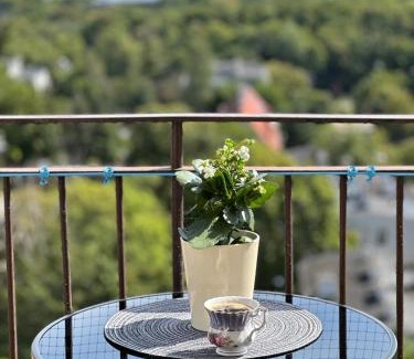 Kamienny Potok Apartment | BaSoTo