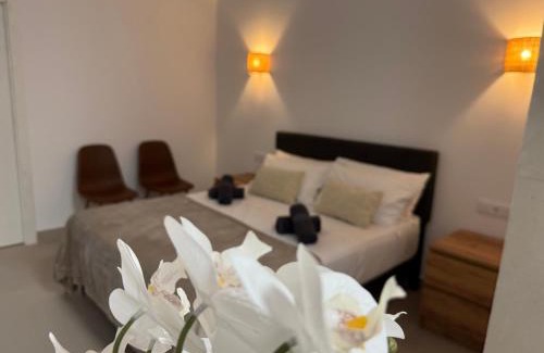 Xirivella Apartment | Basset 1