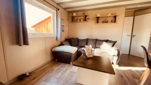 La Teste-de-Buch Ski Chalet | Bassin d'Arcachon - Chalet VIP 5 personnes