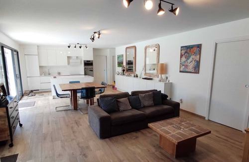 Le Teich House | Bassin d'Arcachon: fully air-conditioned villa with heated pool and spa
