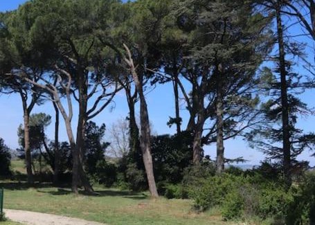 Saint-Paul-Trois-Chateaux House | Bastide Juliana