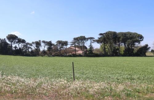 Saint-Paul-Trois-Chateaux House | Bastide Juliana