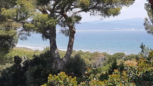 Giens Villa | BASTIDE PRESQU ILE DE GIENS SUPERBE VUE MER PISCINE
