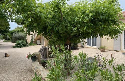 Cadenet House | Bastide Provencale