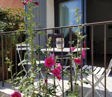 Baudinard-sur-Verdon House | Bastide Saint Jean Baptiste