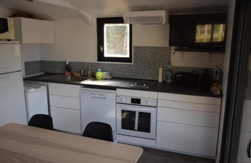 Panzoult Boat Rental | bateau du moulin girault