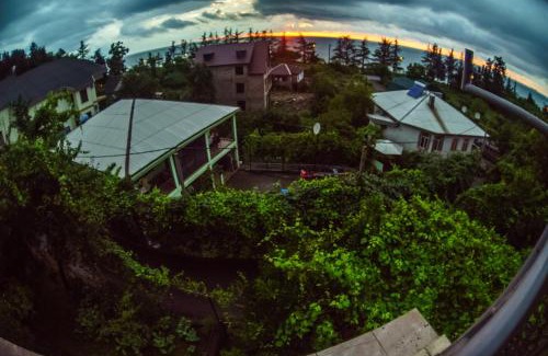 Makhinjauri House | Batumi Homestay at Tamar Mephe Avenue