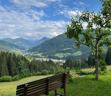 Eben im Pongau House | Bauernhütte Niedermaisgut